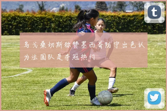 乌戈桑切斯称赞墨西哥防守出色认为法国队是夺冠热门